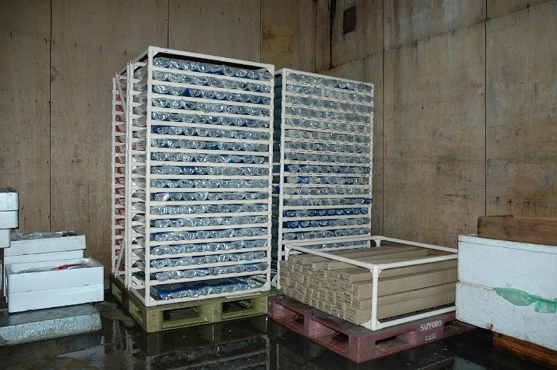 Samples in the cold storage of local fishermen's union.jpg